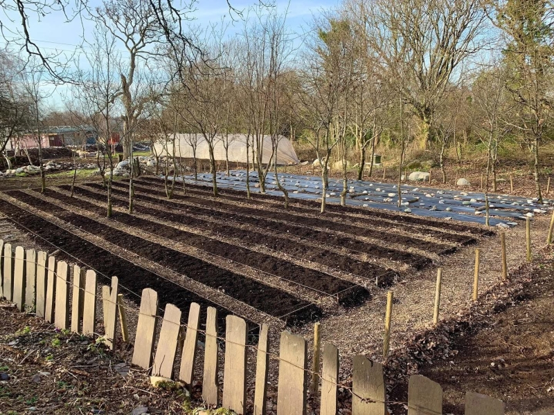 Growing for Change Organic Market Garden